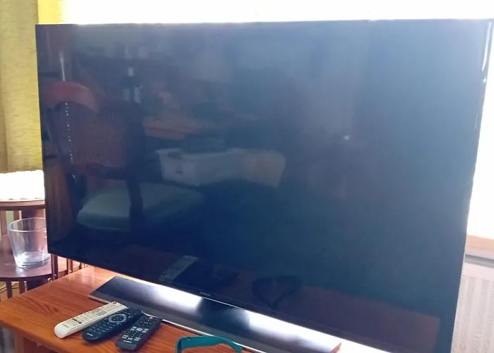 Classic * زاندفورت